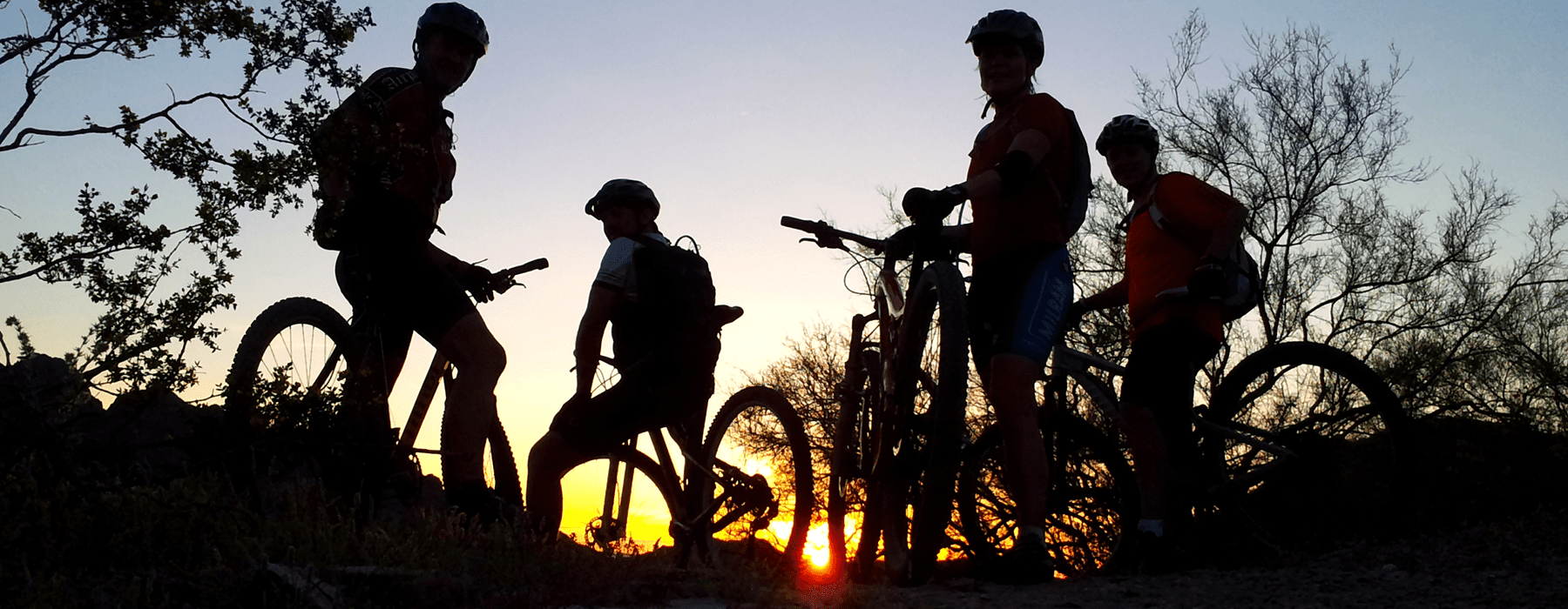 lifestyle image of a group on their bicycles at dusk